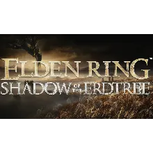 Elden Ring + Shadow of the Erdtree PS4/PS5/RU Актива
