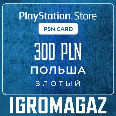 Карта оплаты Sony PlayStation 100 zl (Польша) - irongamers.ru