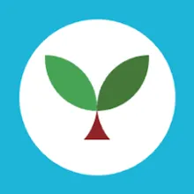 Seedlang pro membership Французский Подписка 3 месяц