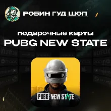 PUBG NEW STATE GLOBAL 300—16800 NC GIFT CARD
