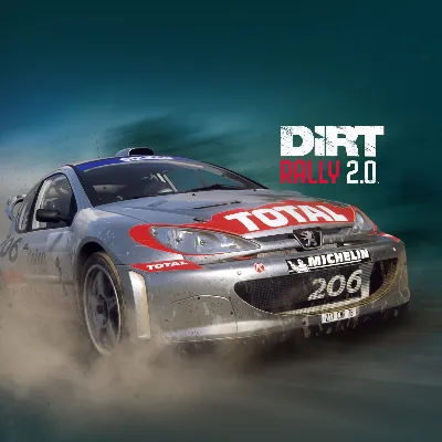 DiRT Rally 2.0 - Peugeot 206 Rally PS4 ПСН PLAYSTATION - irongamers.ru