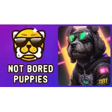 Рефералы на проект Not Bored Puppies Bot дешево