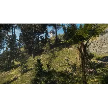 theHunter Call of the Wild Te Awaroa National Park