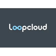 Подписка на членство Loopcloud Pro на 1 месяц (500)