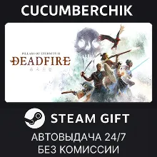 Pillars of Eternity II: Deadfire - Standard Edition STEAM GIFT AUTO RU+МИР