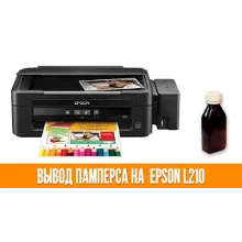 Сброс счетчика Epson :L110. 210.300.350.355