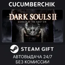 DARK SOULS™ II: Bundle (DX9) STEAM GIFT AUTO RU+МИР