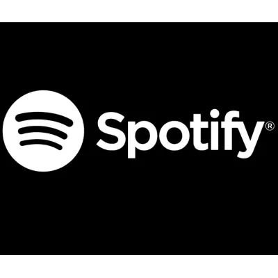 Spotify Ready account TR, US, IN, KZ, AR, PL - irongamers.ru