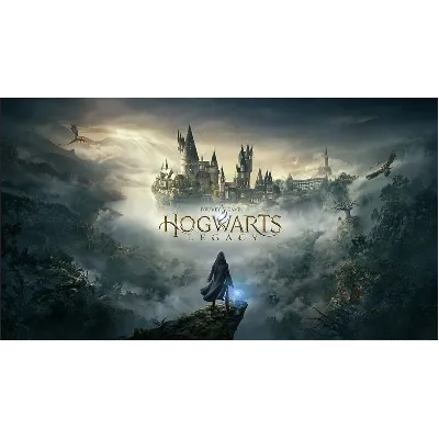 Hogwarts Legacy Ps5 Ps4 Общий оффлайн - irongamers.ru