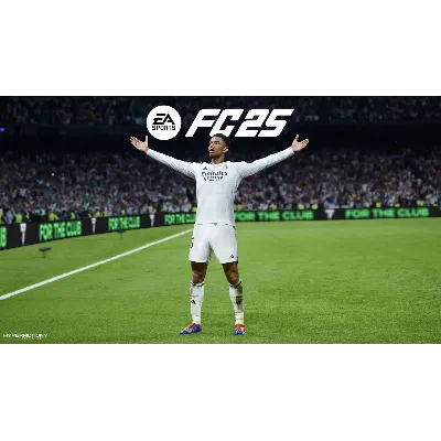 EA Sports FC 25 Standart Steam Общий - irongamers.ru