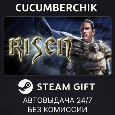 Risen STEAM GIFT AUTO RU+МИР - irongamers.ru