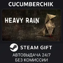 Heavy Rain STEAM GIFT AUTO RU+МИР