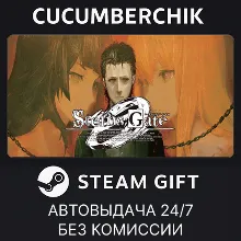 STEINS;GATE 0 STEAM GIFT AUTO RU+МИР