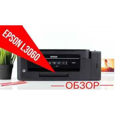 Сброс памперса  Epson : L396 L3060 - irongamers.ru