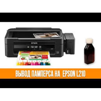 Сброс памперса  Epson : L210 - irongamers.ru