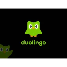 Duolingo Super | 3,6,12 (вашем электронном письме)