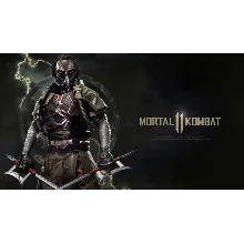 Mortal Kombat 11 [ONLINE + STEAM] Полный доступ