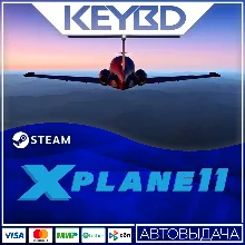 X-Plane 11 · Steam Gift АВТОДОСТАВКА 0%