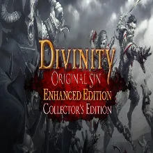Divinity: Original Sin - Enhanced Edition Collector'