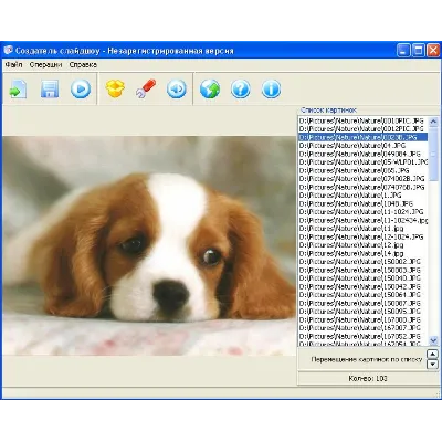 SlideShow Maker - irongamers.ru