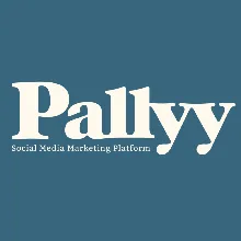 PALLYY PRO ПОДПИСКА 1-12М НА ВАШ АККАУНТ