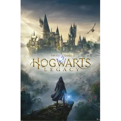 HOGWARTS LEGACY||STEAM OFFLINE||INSTANT ACTIVATION - irongamers.ru