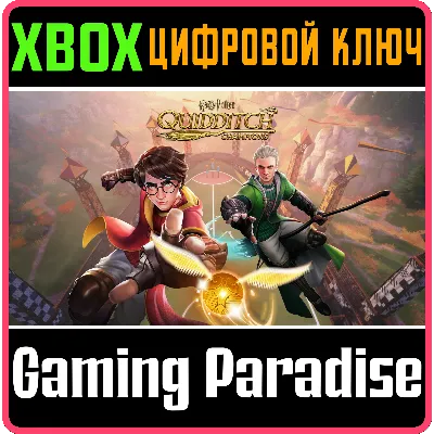 HARRY POTTER: QUIDDITCH CHAMPIONS XBOX ONE/X|S КЛЮЧ - irongamers.ru