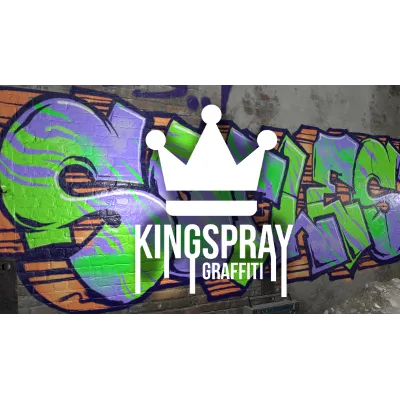 ⭐ Kingspray Graffiti VR [Steam/Global] - irongamers.ru