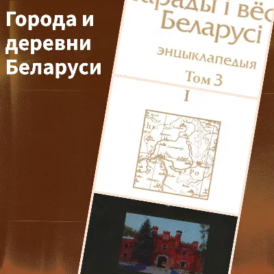 Города и деревни Беларуси. Брестская область. Книга 1 - irongamers.ru
