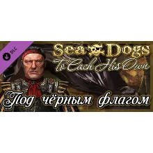КОРСАРЫ КАЖДОМУ СВОЁ - ПОД ЧЁРНЫМ ФЛАГОМ (ЧЕРНЫМ) STEAM KEY Sea Dogs: To Each His Own