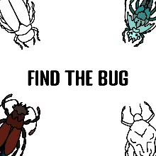Find the Bug PS5