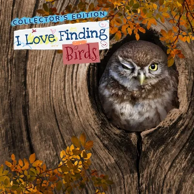 I Love Finding Birds Collector's Edition PS5 - irongamers.ru