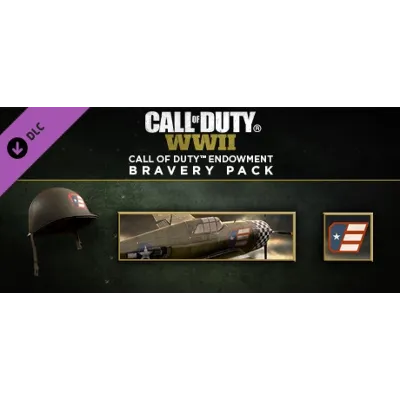 Call of Duty:WWII - Call of Duty Endowment Bravery Pack (DLC) Region free Steam Key - irongamers.ru