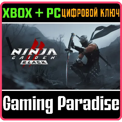NINJA GAIDEN 2 Black МИР АВТО - irongamers.ru