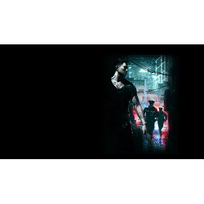 Sleeping Dogs Definitive Edition PS4 & PS5 - irongamers.ru