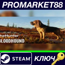⭐ theHunter: Call of the Wild - Bloodhound DLC Steam КЛ