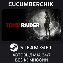 Tomb Raider STEAM GIFT AUTO RU+МИР