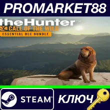 ⭐ theHunter: Call of the Wild - Essentials DLC Bundle S