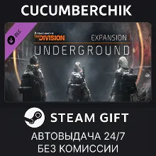 Tom Clancy's The Division - Underground STEAM GIFT AUTO RU+МИР