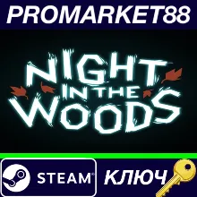 ⭐ Night in the Woods EU Steam КЛЮЧ ЕВРОПА
