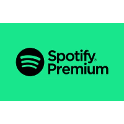 Spotify Gift Card USA 1-3-6-12 month - irongamers.ru