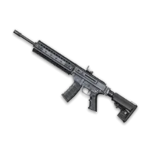 MPAR-556 (1 день)