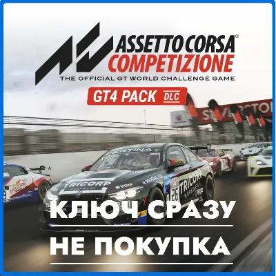 ⚡Assetto Corsa Competizione-GT4 Pack DLC/КЛЮЧ/PS4/PS5⚡ - irongamers.ru