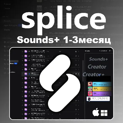 Звуки сплейса [1-3 месяца, 300 кредитов] быстро - irongamers.ru