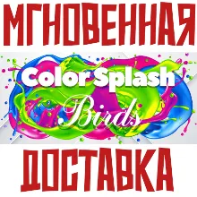 Color Splash: Birds Steam\РФ+Весь Мир\Key⭐