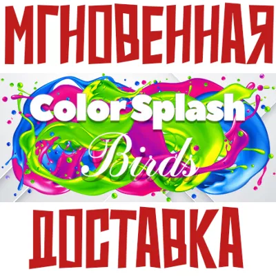 Color Splash: Birds Steam\РФ+Весь Мир\Key⭐ - irongamers.ru