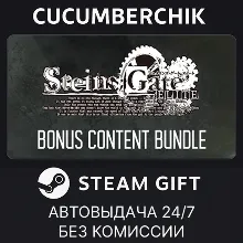 STEINS;GATE ELITE - Bonus Content Bundle STEAM GIFT AUTO RU+МИР