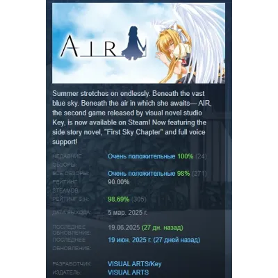 AIR 2025 АВТОДОСТАВКА STEAM GLOBAL МГНОВЕННО ЛИЦЕНЗИЯ - irongamers.ru