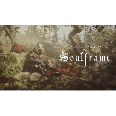 Ключ для закрытого бета-теста Soulframe (официальный са - irongamers.ru