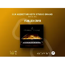 🌐 XLN Addictive Keys Studio Grand 🔑 Официальный ключ